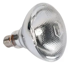Ll-par38 American Dj Ll Par38 150w Halogen Replacement Lamp For Par-38bl Big Screw Socket