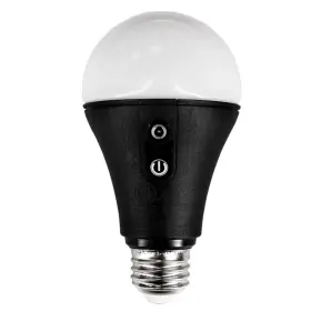 Fp5-b Astera Black Body Nyx Bulb