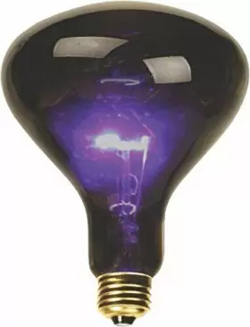 Bl100 Deejay Led 6 Deejayled Mushroom Shaped Black Light For Standard Us Lamp Socket 100