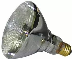 Bulb38-150 Lightronics 150w 120v Par Lamp