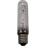 Ushio UHI-S175AQ/10 175W Aqualite Metal Halide Lamp For Reef & Marine 5000761 New. Price: $49.99.