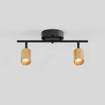 Shura Black & Brass 2-LIGHT Track With Adjustable Heads, Integrated Led... New. Price: $136.52.